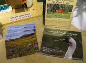 Field guides and Story Books and activity books inside the store
