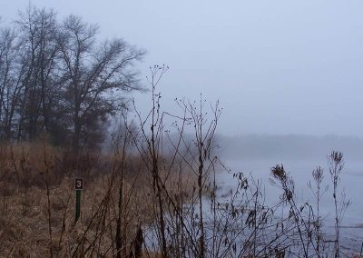 smoke over the wildlife area