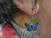 Karner blue butterfly earrings