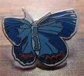 Karner Blue Butterfly pin
