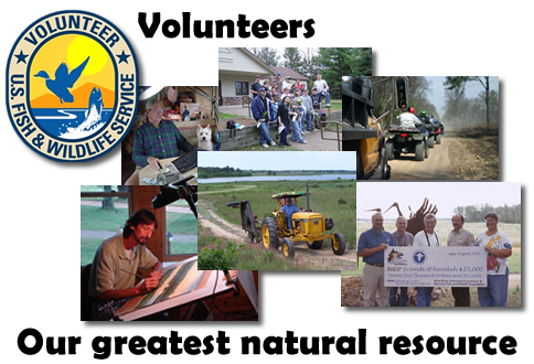 Volunteer Recources