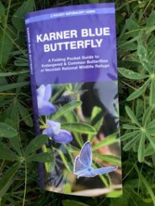 Karner Blue Butterfly Pocket Guide